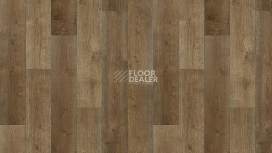 Линолеум Tarkett Фаворит MONDO 4 фото 1 | FLOORDEALER